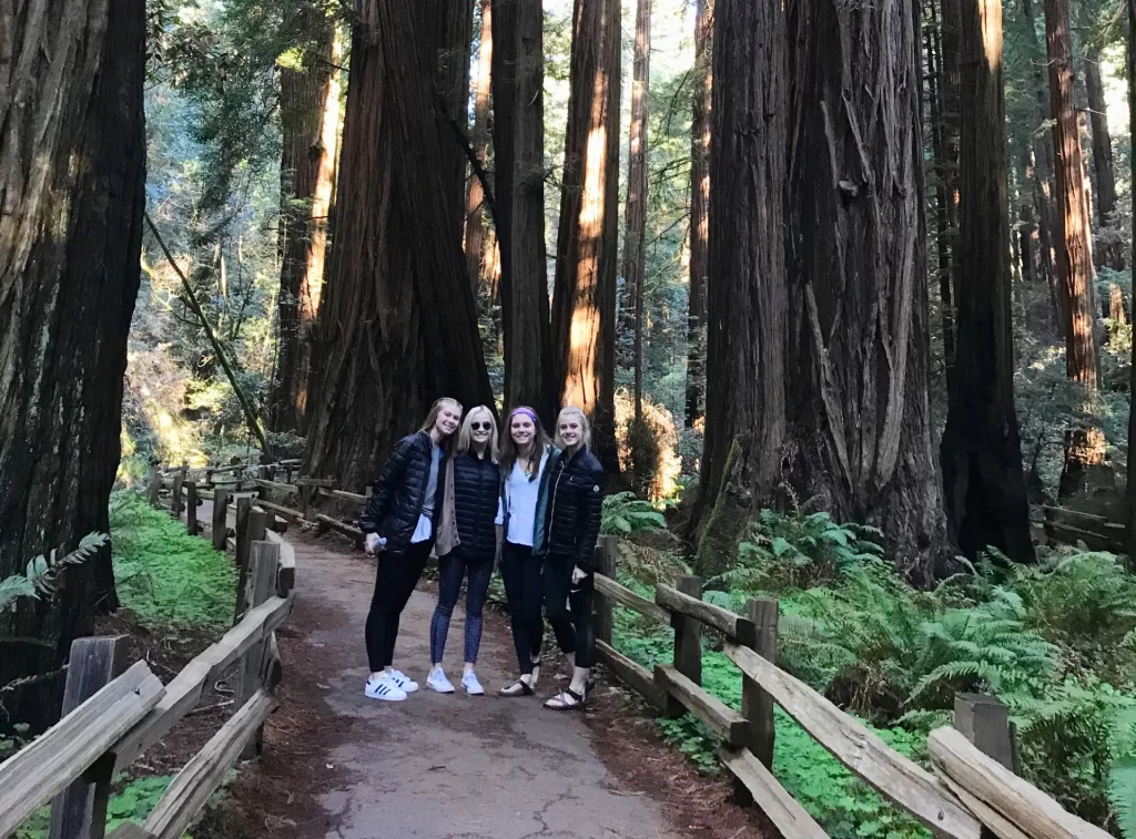 Visitors standing beneath giant coast redwoods in Muir Woods National Monument