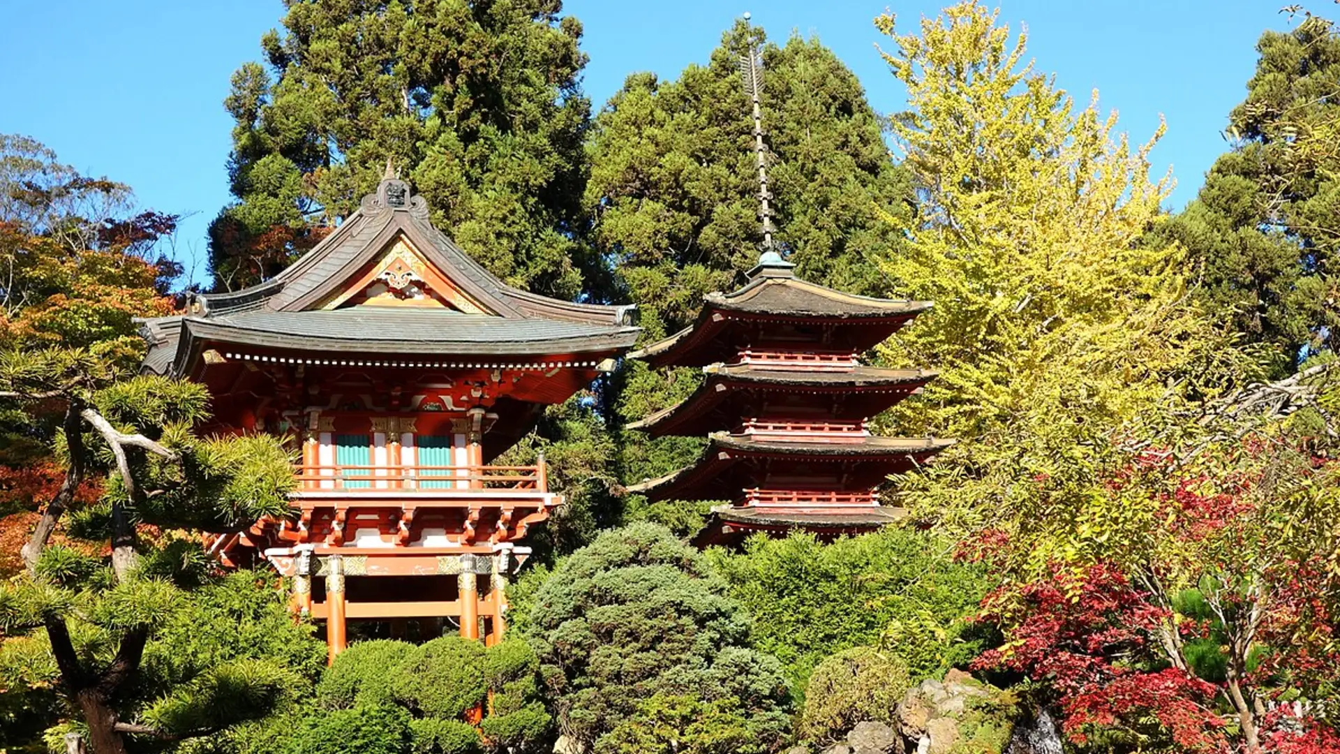 Japanese Tea Garden, Golden Gate Park