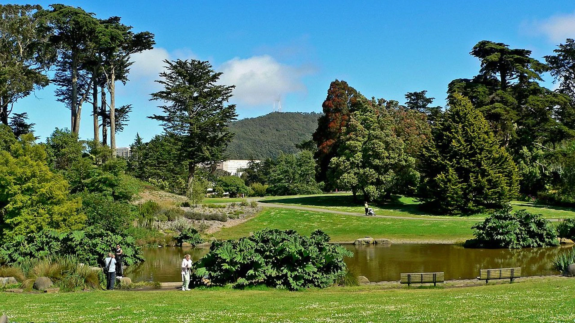 SF Botanical Garden